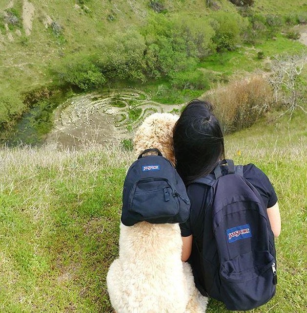balo jansport mini